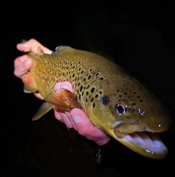 Fly of the Week with @anna_on_the_fly | Blowtorch